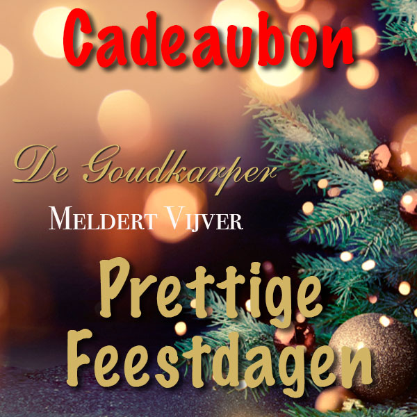 Cadeaubon Feestdagen
